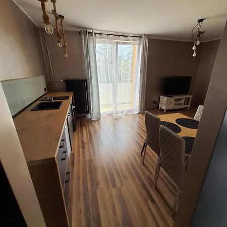 Lägenhet Apartament Nad Fontanna Malbork