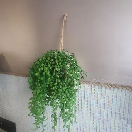Lägenhet Apartament Nad Fontanna *